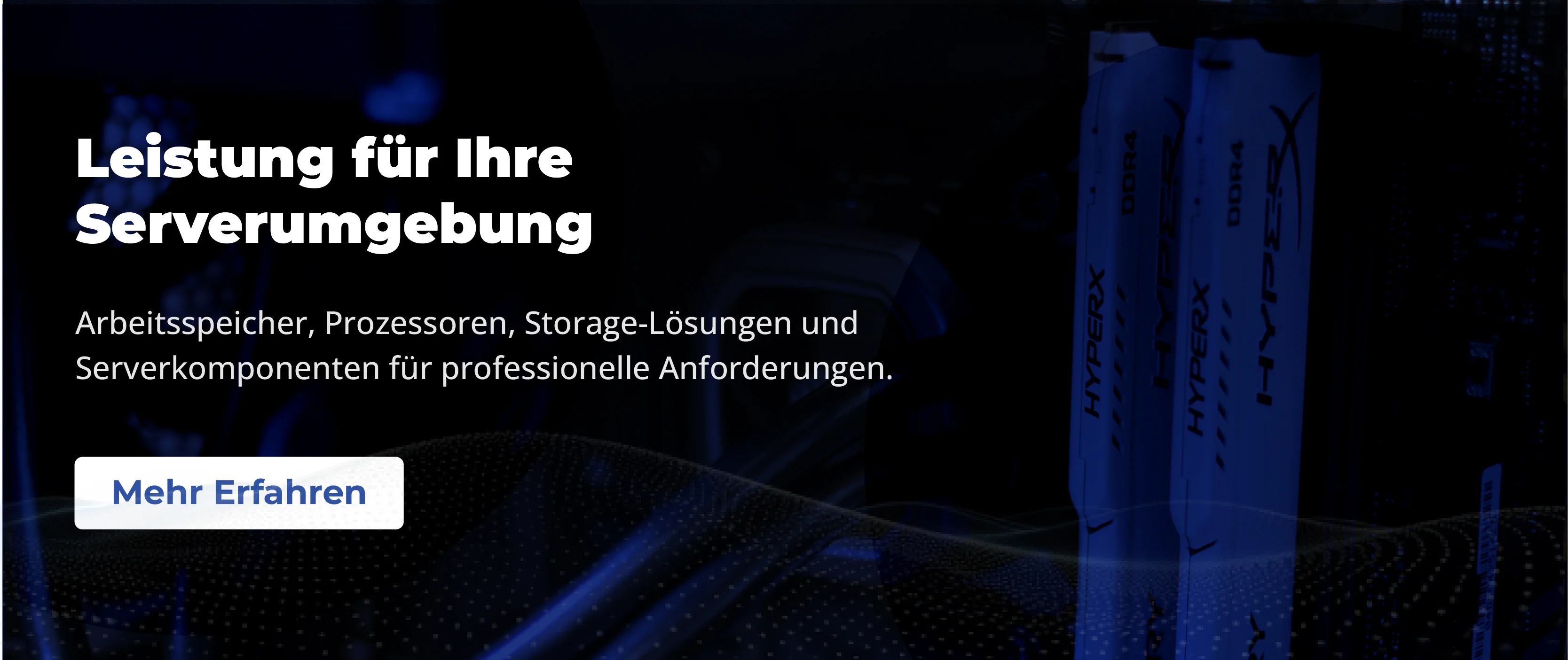 Arbeitsspeicher und Serverkomponenten für professionelle Serverumgebungen